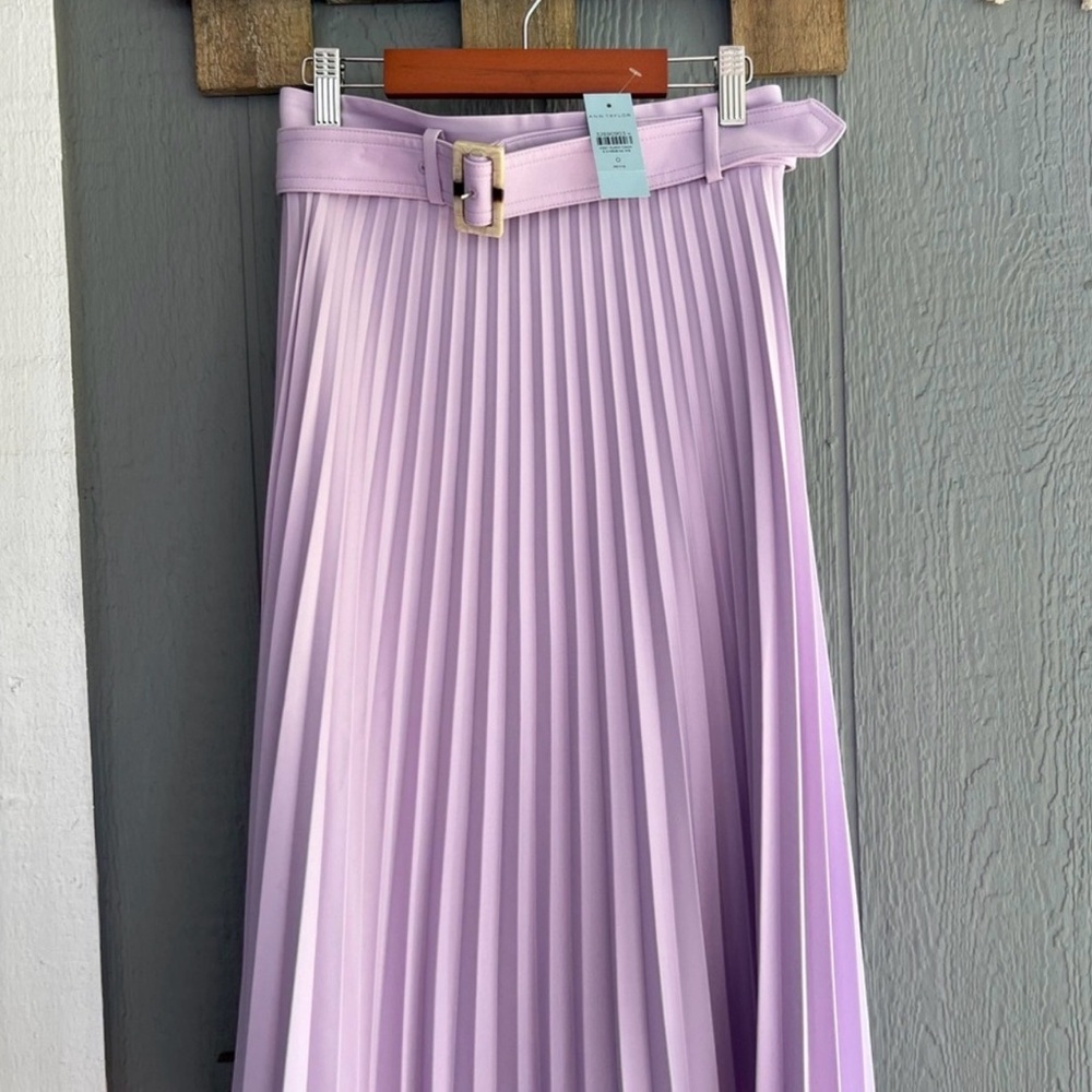 Ann Taylor Pleated Women's Skirt